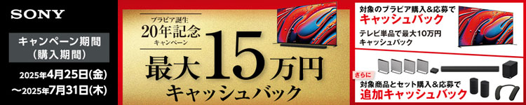 ブラビア誕生20年記念キャンペーン