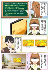 BRAVIA 5 は2ウェイスタンドを採用し壁掛けにも対応しています
