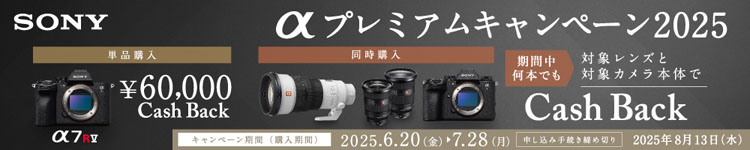 αプレミアムキャンペーン2025