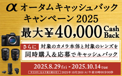 αオータム キャッシュバックキャンペーン 2025