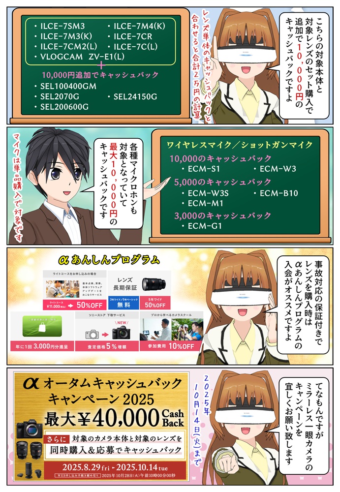 デジタル一眼カメラの本体とレンズはソニーストアでの購入もオススメです