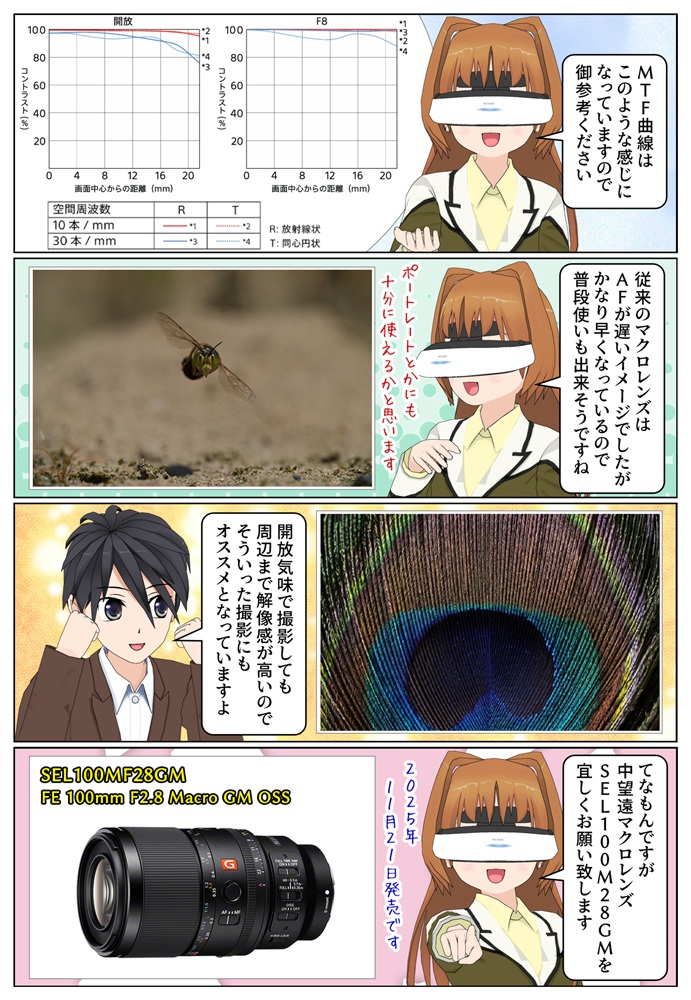 SEL100M28GMはマクロレンズながらAFが高速なのも特徴です