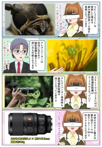 SEL100M28GMのレンズ構成は13群17枚で11枚羽の円形絞りを採用