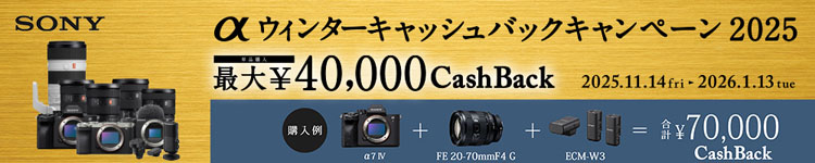 αウィンター キャッシュバックキャンペーン 2025