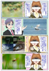 α7 V は動物、鳥、昆虫を被写体として認識可能