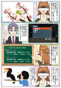 ILCE-7M5のリアルタイム認識AFは鳥に対応しています