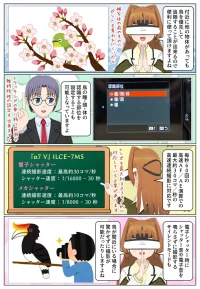 sony-manga-bird-af-2743_002 ILCE-7M5のリアルタイム認識AFは鳥に対応しています