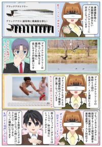 ブラックフリー連続撮影が野鳥の撮影にオススメです