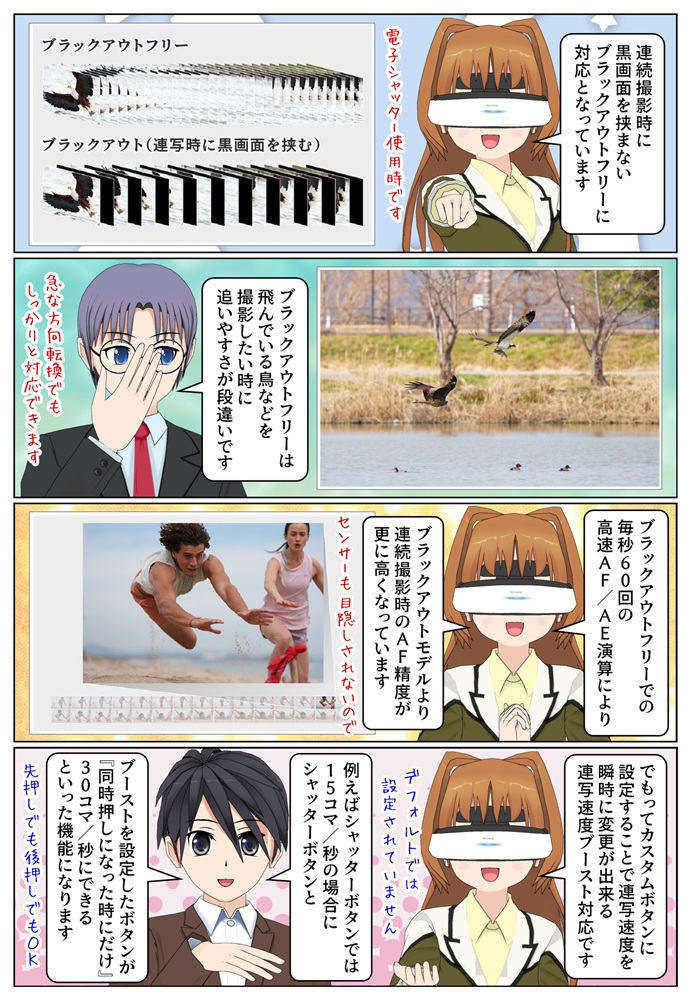 ブラックフリー連続撮影が野鳥の撮影にオススメです