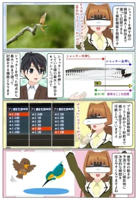 sony-manga-ilce-7m5-puri-photograph-2743_004 最大1秒まで遡って撮影できるプリ撮影機能も野鳥の撮影時にオススメです