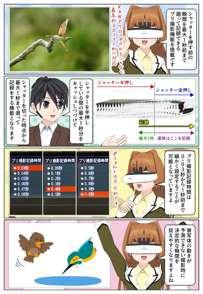 最大1秒まで遡って撮影できるプリ撮影機能も野鳥の撮影時にオススメです