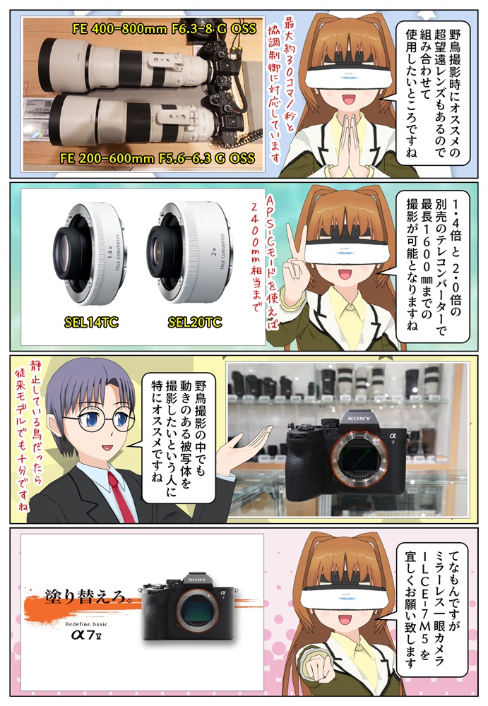 野鳥撮影時にオススメの超望遠レンズもラインナップされています