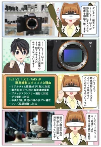 sony-manga-wild-bird-photography-2743_001 野鳥撮影にオススメのデジタル一眼カメラは『α7 V』ILCE-7M5 です