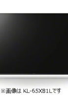 KJ-65X81L