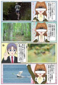 『α7R VI』は動物、鳥、昆虫を被写体として認識可能