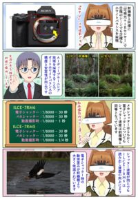 『α7R VI』と『α7R V』のオートホワイトバランスの違い