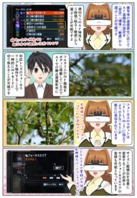 『α7R VI』はカスタムフォーカスエリアに対応