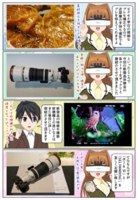 sony-manga-ilce-7rm6-image-stabilization-2820_008