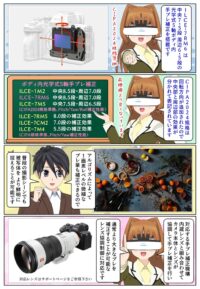 『α7R VI』と『α7R V』の光学式5軸ボディ内手ブレ補正の違い
