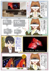 ソニーの4K液晶テレビの BRAVIA 9 II の特徴や違いをレビュー