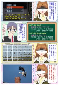 sony-manga-dsc-rx10m5-bird-2857_008 DSC-RX10M5のブラックアウトフリー連続撮影は野鳥の撮影にオススメ