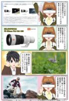 ソニーが焦点距離600mmの超望遠単焦点レンズ SEL600F63GM（FE 600mm F6.3 GM OSS）を発売