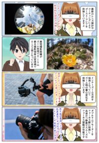 sony-manga-sel814g-backlit-2887_003 SEL814Gは最新のレンズ設計やコーティングによる逆光性能を実現